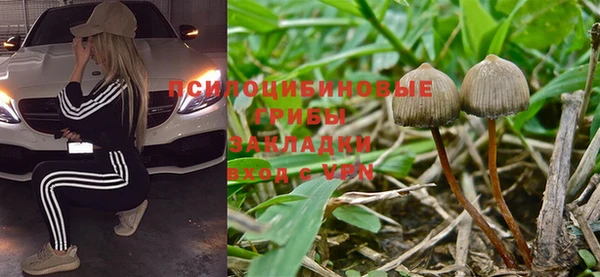 трава Вязьма